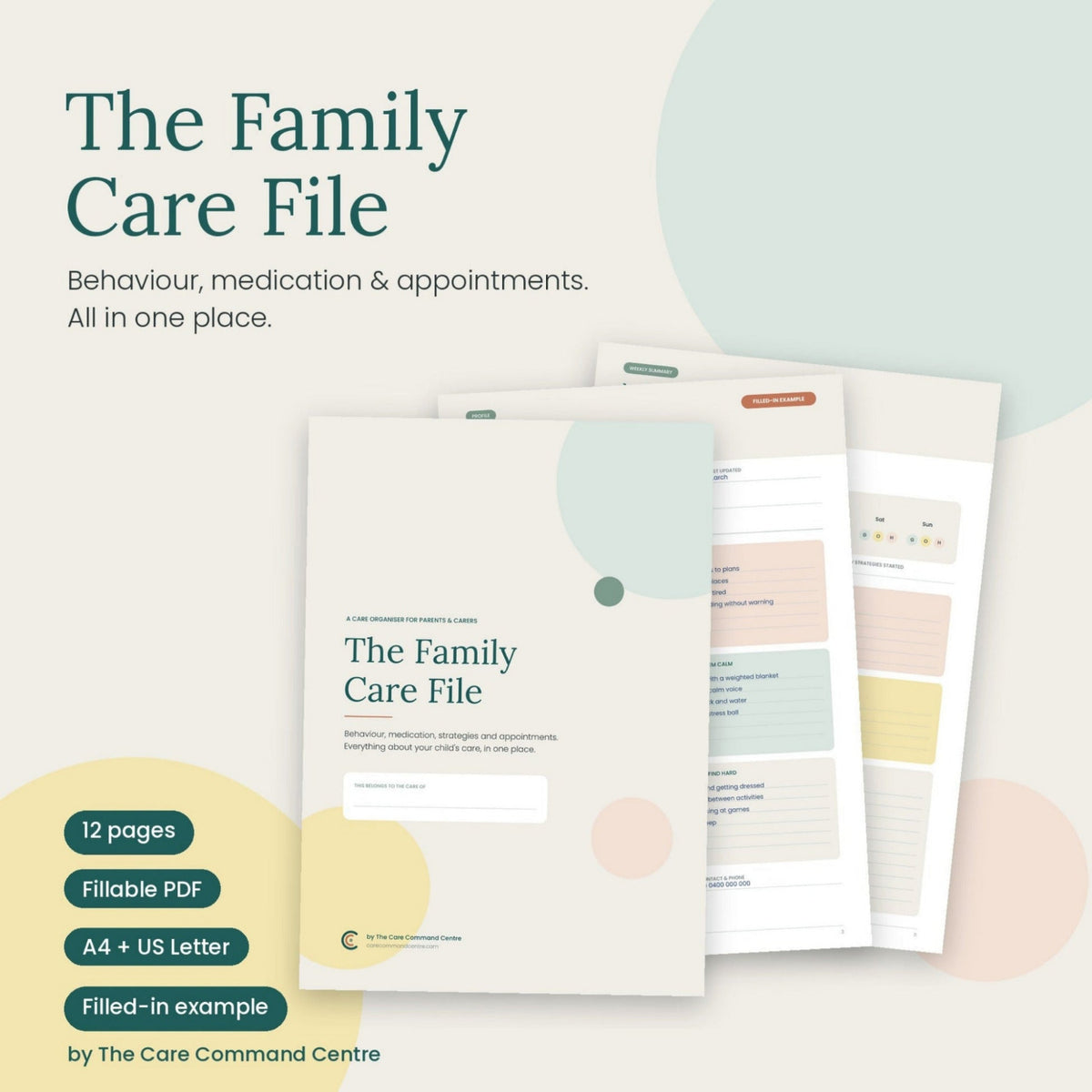 Promotional graphic for a digital printable document titled 'The Family Care File' showing a cover page and several interior pages fanned out behind it. Large text reads 'The Family Care File' with subtitle 'Behaviour, medication & appointments.