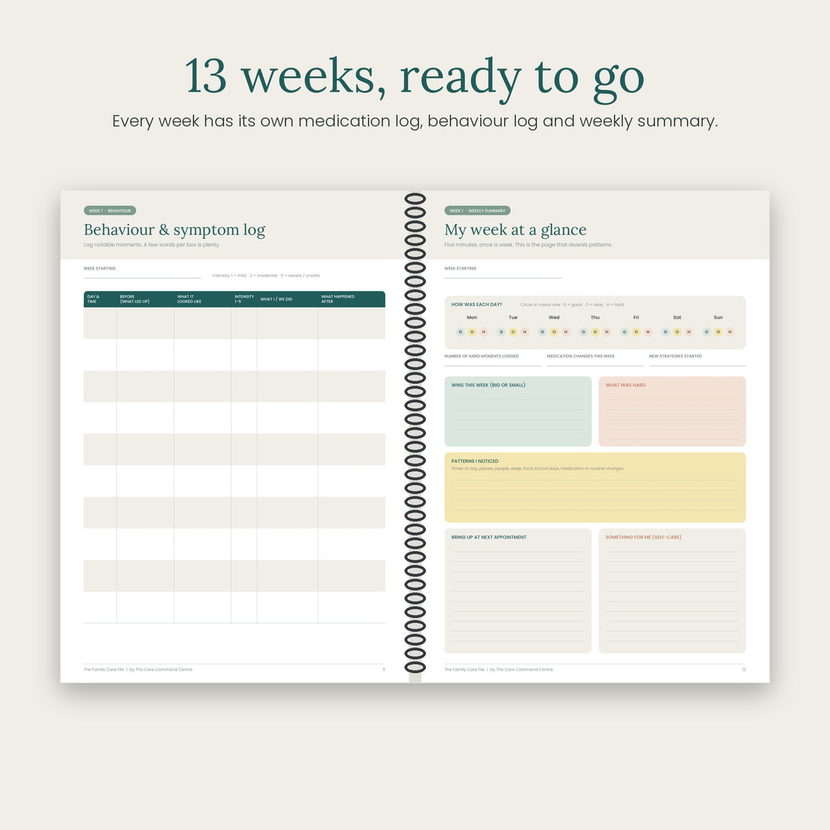 The Family Care File: Print Edition (Coil-Bound A4 Behaviour & Medication Tracker)